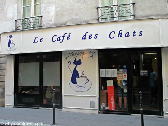 PURRfect afternoon at the cat cafe in Paris | www.whyroamtravel.com