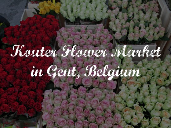 Kouter Flower Market | whyroamtravel.com