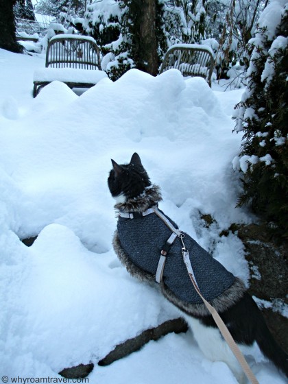 Snow in Regensburg Germany | whyroamtravel.com