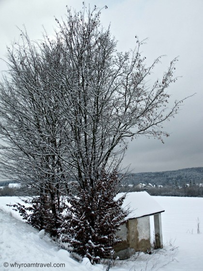 Snow in Regensburg Germany | whyroamtravel.com