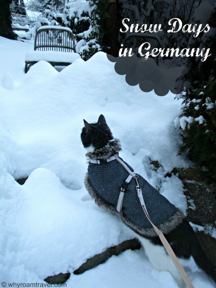 Snow Days in Regensburg, Germany | whyroamtravel.com