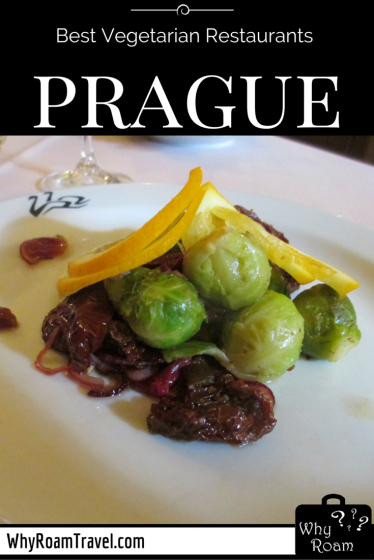 Best Vegetarian Restaurants in Prague | WhyRoamTravel.com