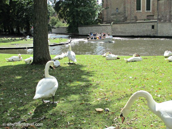 Top 12 Things to Do in Bruges | WhyRoamTravel.com